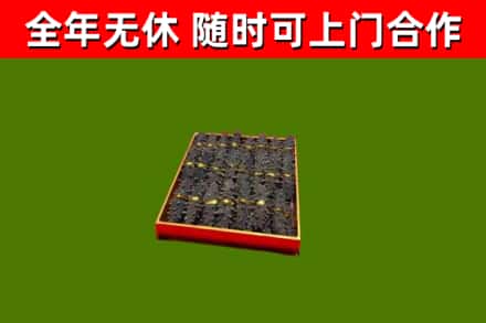 泰安回收海参